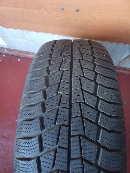 Зимові шини Gislaved euro frost 6