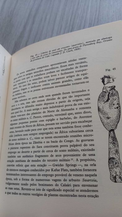 A pré- historia da Africa