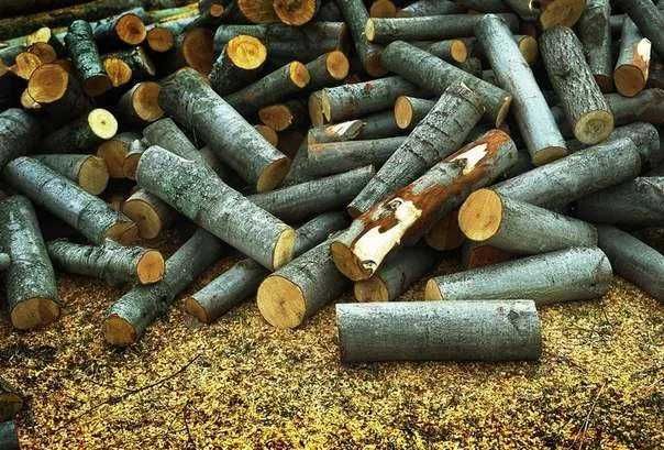 Дрова метрові габ бук береза осика дрова колоті дрова гуртом фурою