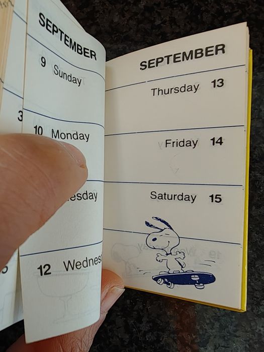 Mini calendário de coleção Snoopy livro McDonald's 1984