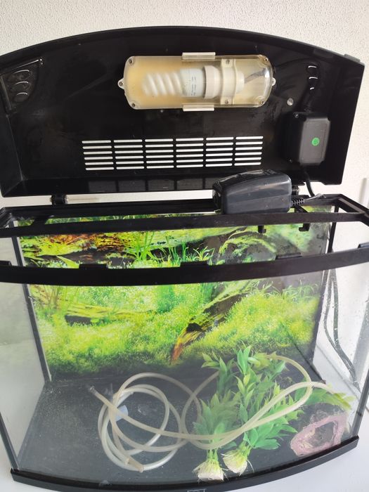 Aquário para peixes