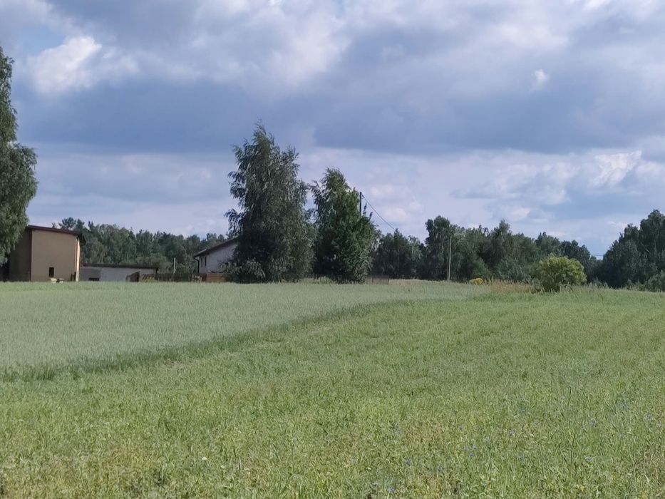 Ziemia, pole, sprzedam 2,5h
