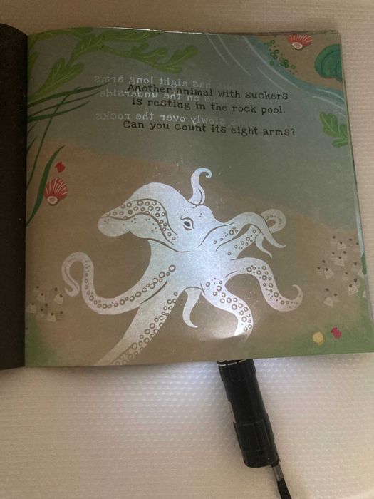 Secrets of the seashore