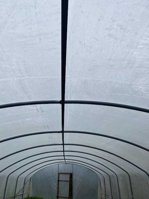 15 m polytunnel estufa