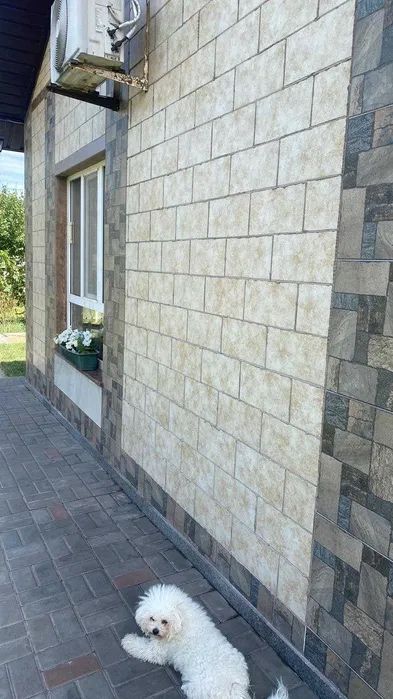 Продам дом Левый берег Днепр купить будинок