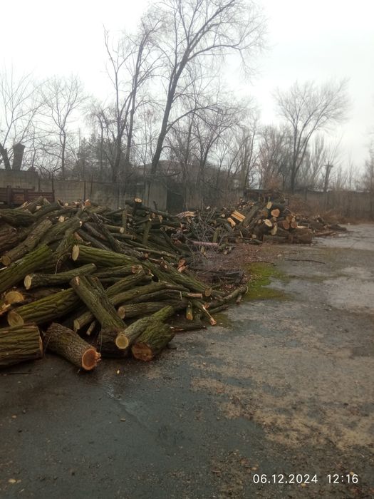 Продам дрова для отопления дуб акация ясень