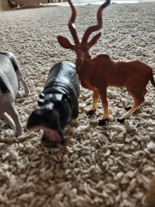 Розвиваючі іграшки для вивчення тварин, поні, динозаври