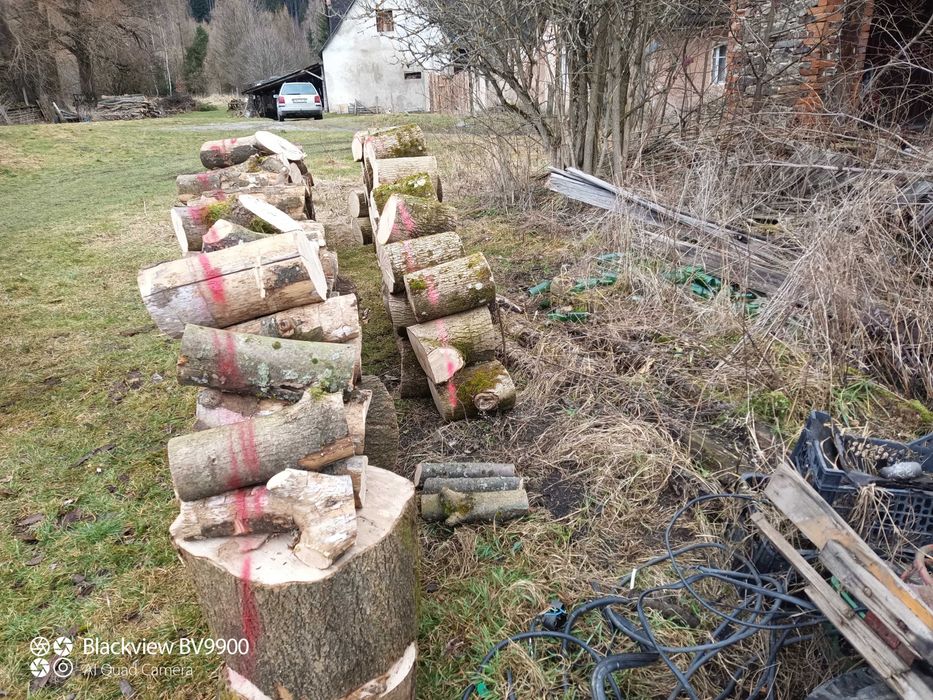 Sprzedam drewno opałowe JESION, KLON , BUK, świerk