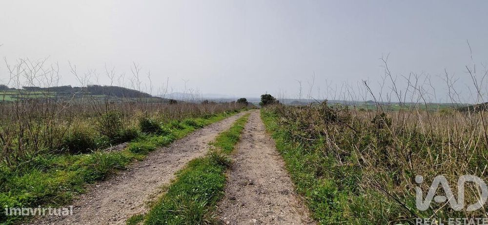 Terreno Agrícola em Mafra