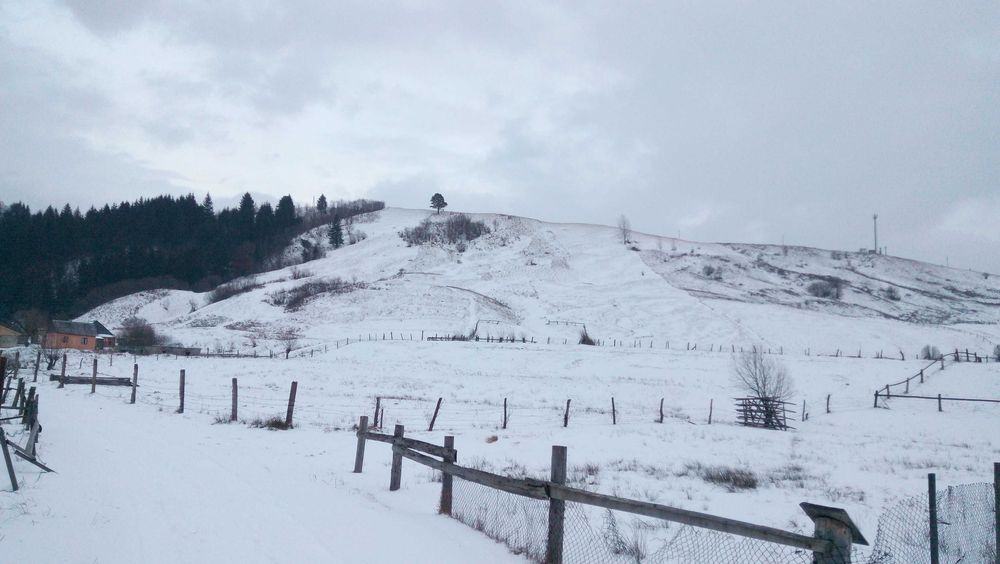 Земельна ділянка смт.Ясіня