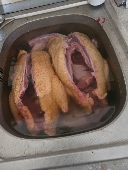 Tuszki kacze francuskie