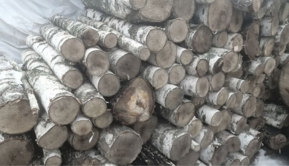 Доставка пісок,щебня,мучки,підсипки,вивіз мусора