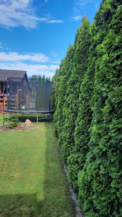 Działka ROD ,,NARWIK" Gdańsk-Stogi