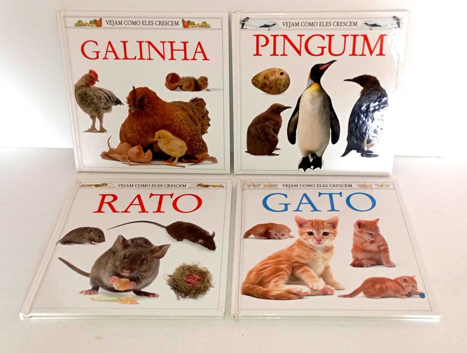 Coleção - Vejam como eles crescem (Mais nas restantes Fotografias)