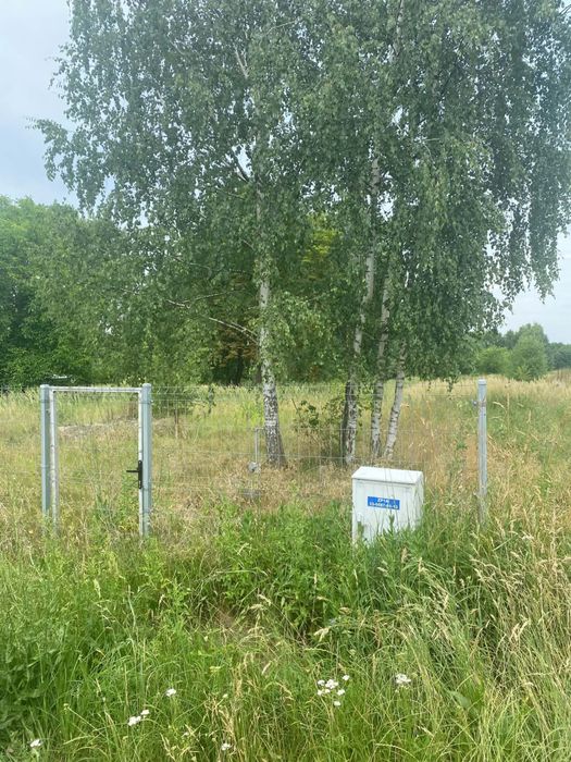 Dzialka lesno-budowlana 14 797 m² - Widok 5