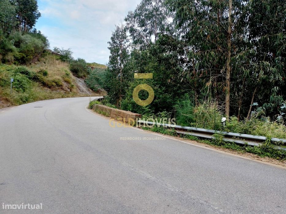 Terreno Rústico  Venda em Raiva, Pedorido e Paraíso,Castelo de Paiva