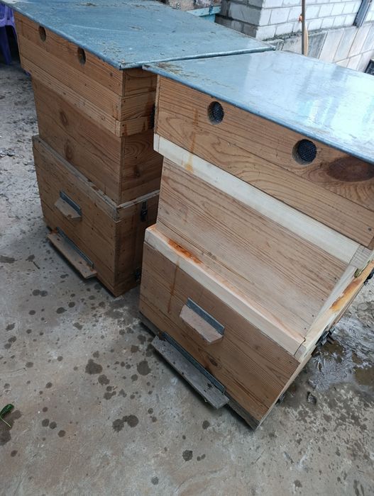 Продам двухкорпусные улики