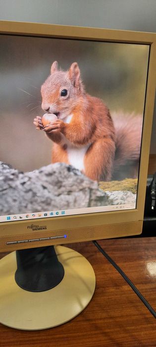 monitor de computador  e teclado