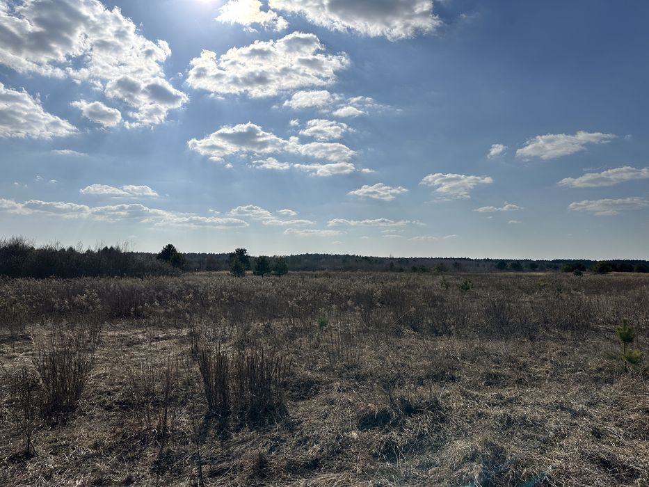 Земельна ділянка для індивідуального дачного будівництва - View 4