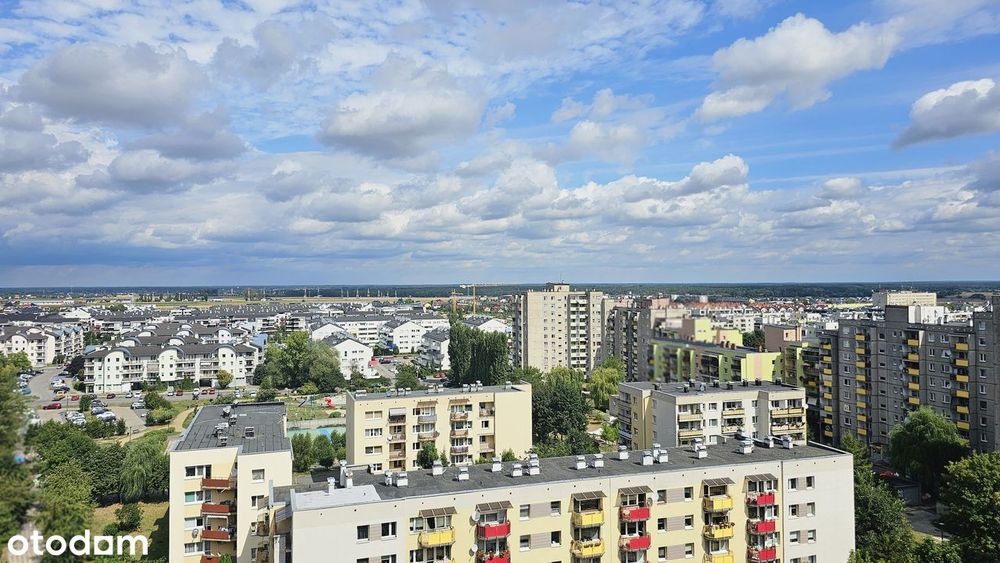 Zdjęcie 8
