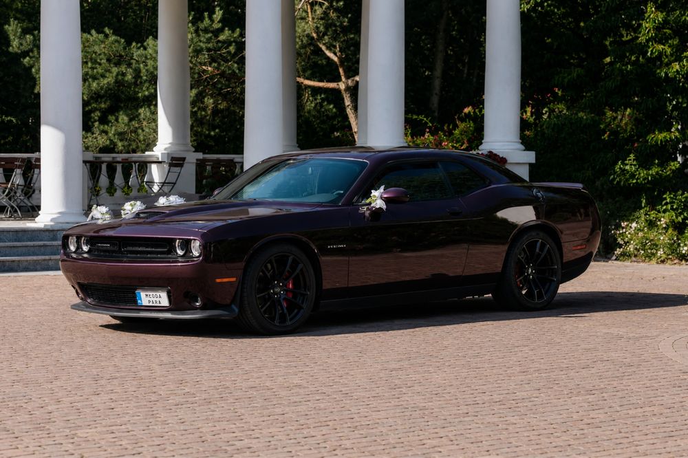 Auto do ślubu Dodge Challenger Żyrardów Mazowieckie