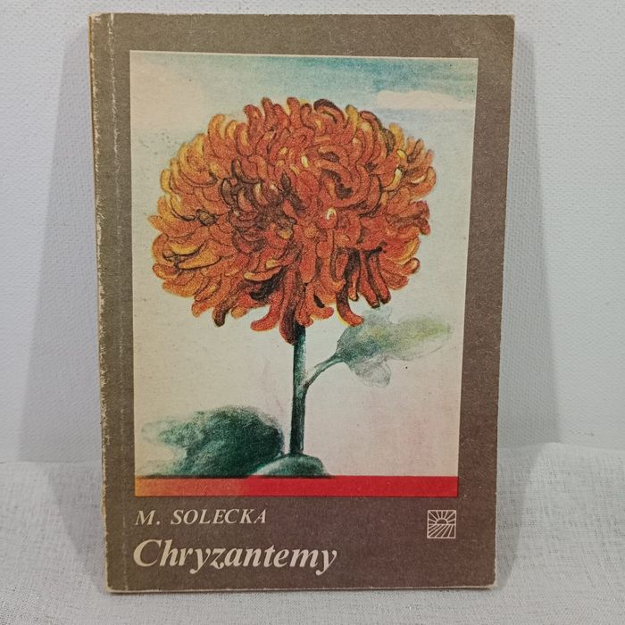 Chryzantemy. Maria Solecka