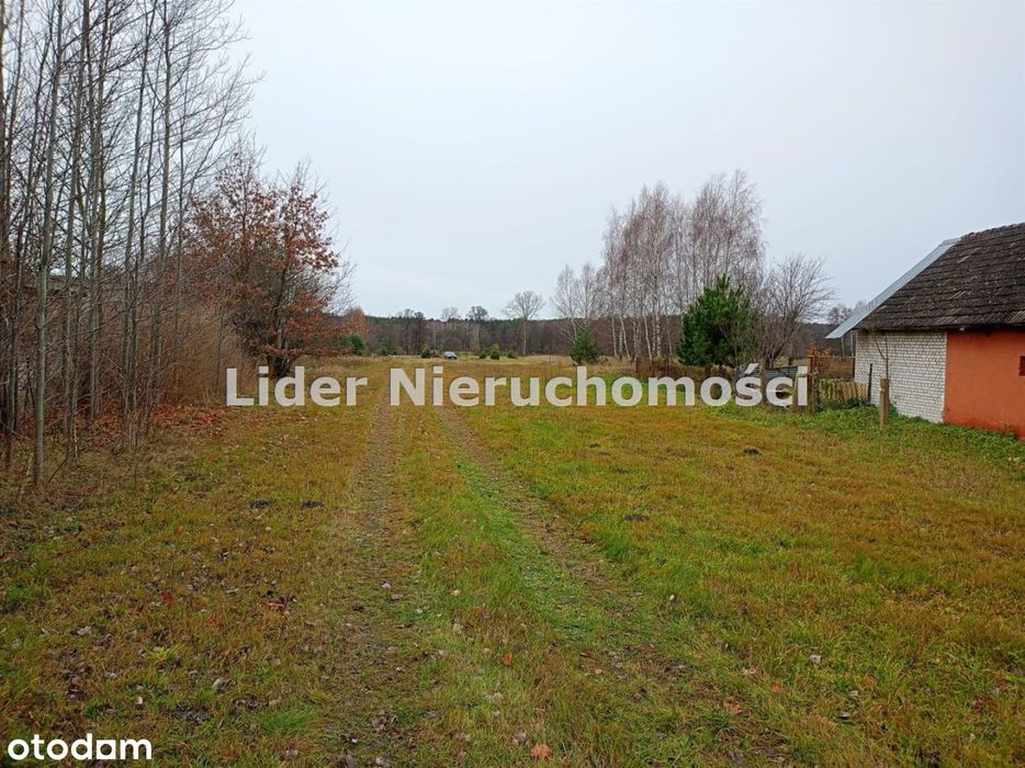 Działka, Ldzań