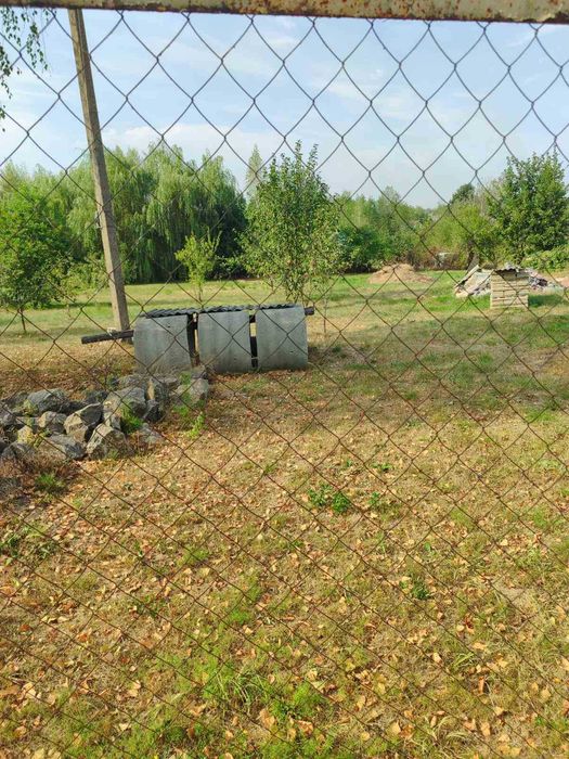 Тетерівський масив, Буки. Продам земельну ділянку.