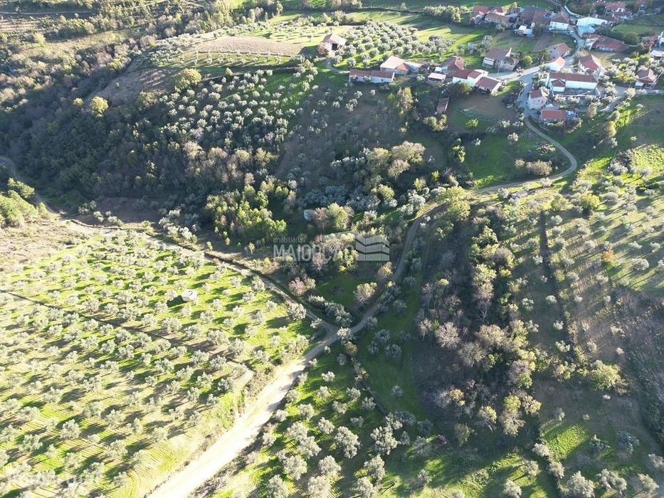 Terreno Agrícola Grijó de Parada