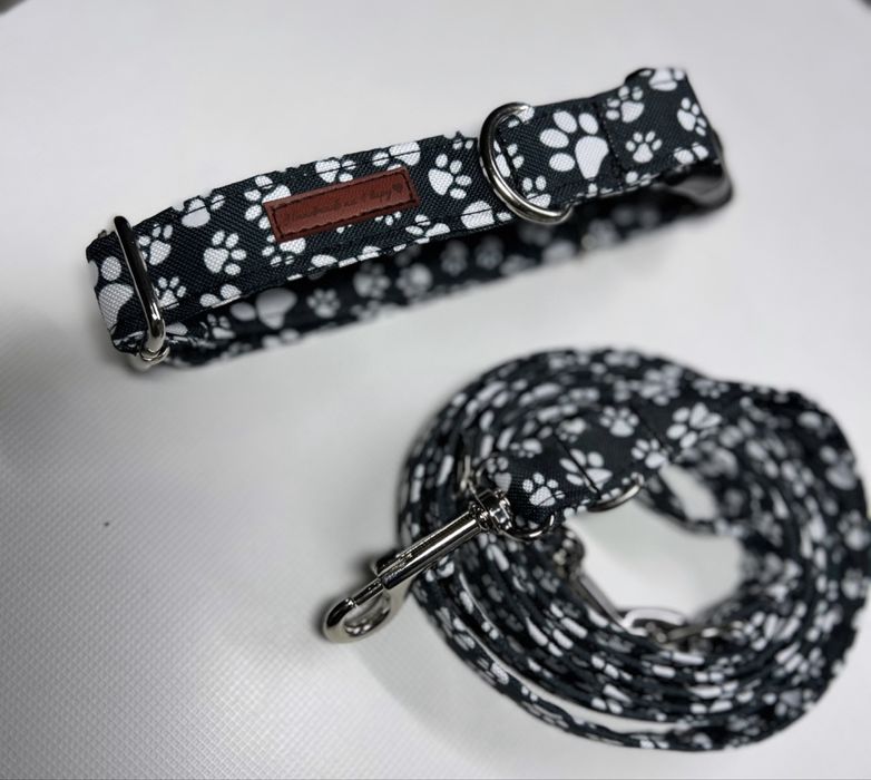 Obroża + smycz dla psa