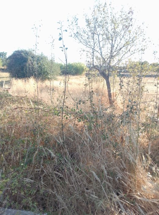Terreno em Alcains venda urgente