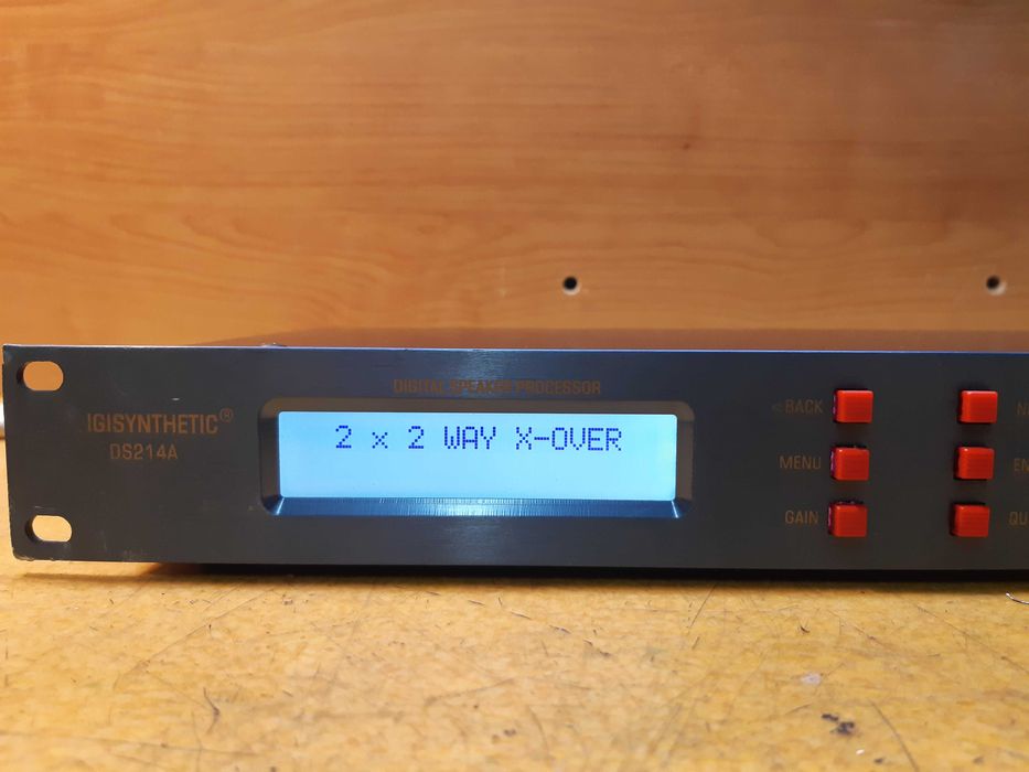 IGISYNTHETIC DS214A Digital Speaker Processor