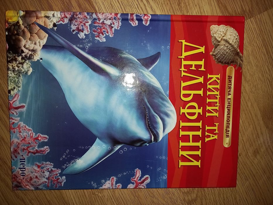 Кити та дельфіни