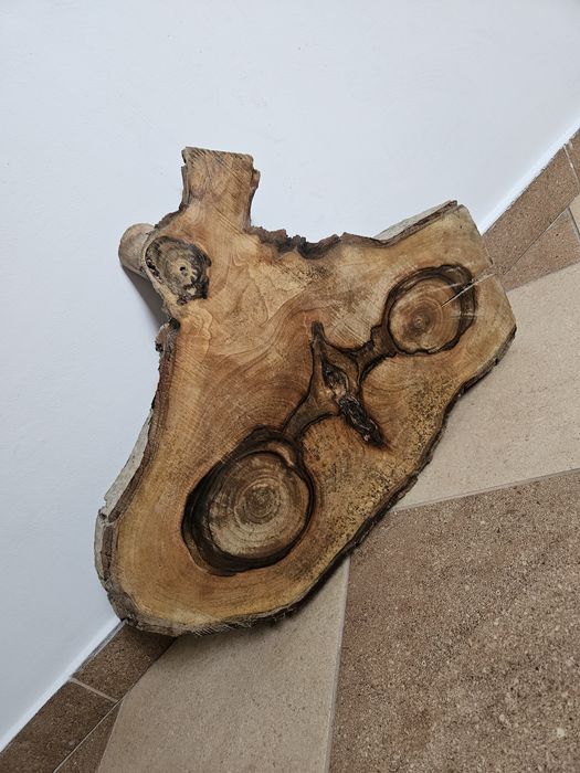 Plaster orzecha włoskiego
