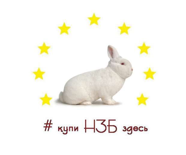 Продам племенных кроликов НЗБ . Новозеландские Белые. Самочки и самцы