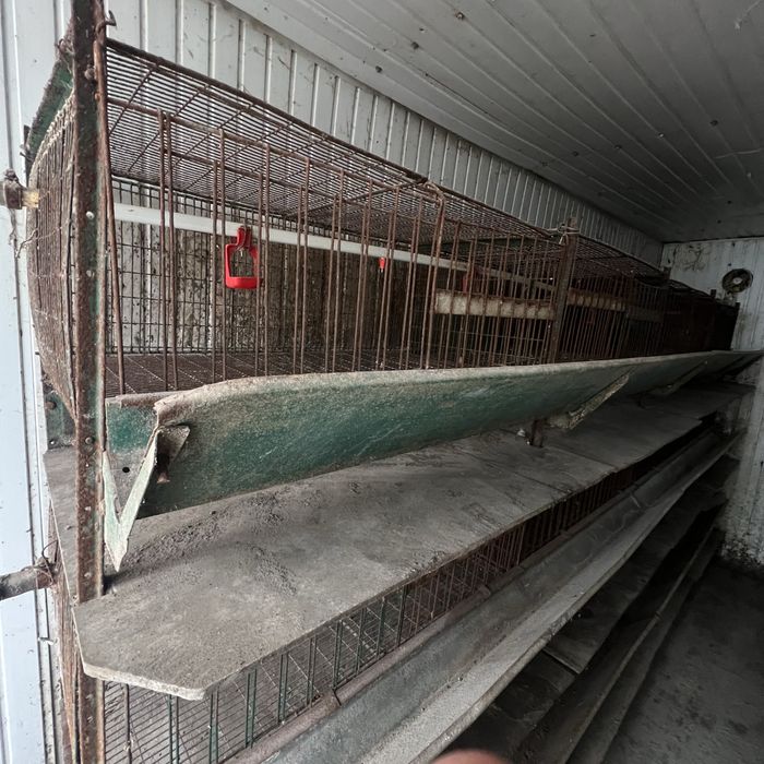 Клітка для вирощування курчат. Самовивіз!