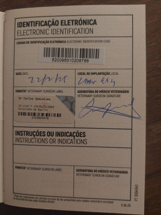 Golden Retriever lop/exames