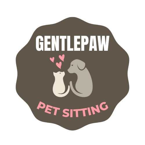 Serviço de Pet walking e pet taxi – Cuido do seu melhor amigo com cari