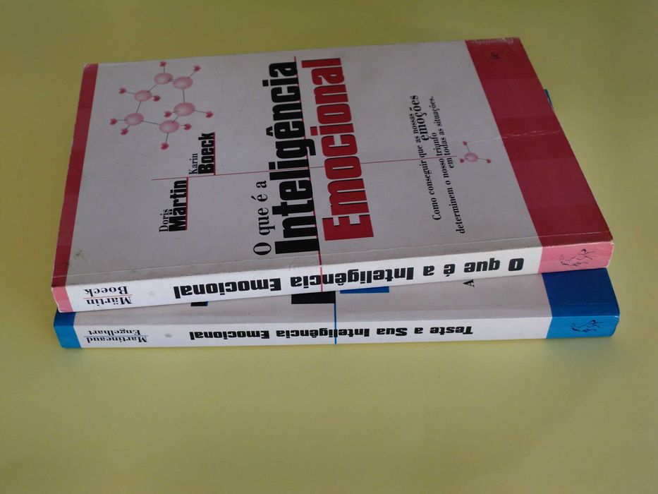 A Inteligência Emocional