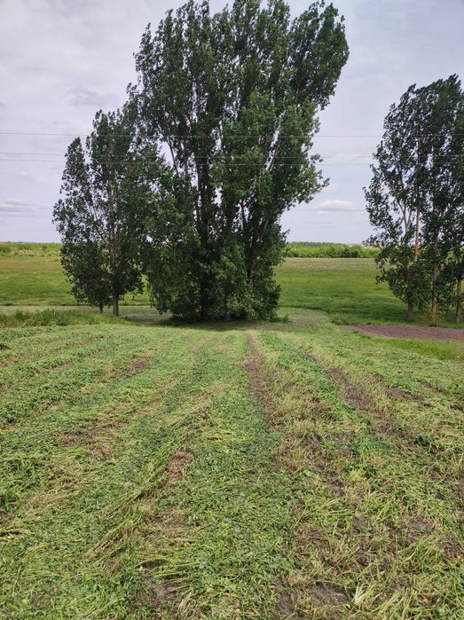 Продам будинок (із земельною ділянкою)