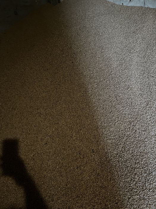 Zboże 2025 - pszenica/owies/jęczmień