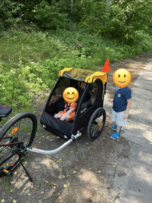 Przyczepka rowerowa dla dzieci Burley Bee dwuosobowa
