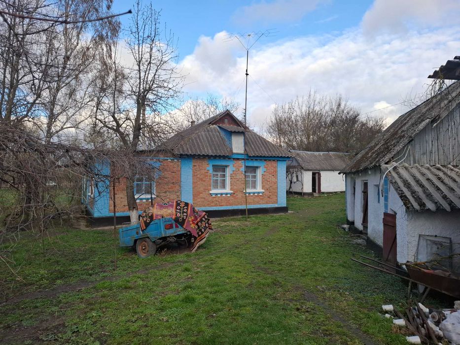 Будинок Турбів , поруч озеро та ліс