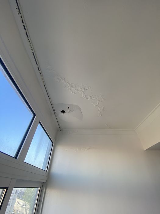 Execução Profissional de Pintura para Casas e Apartamentos