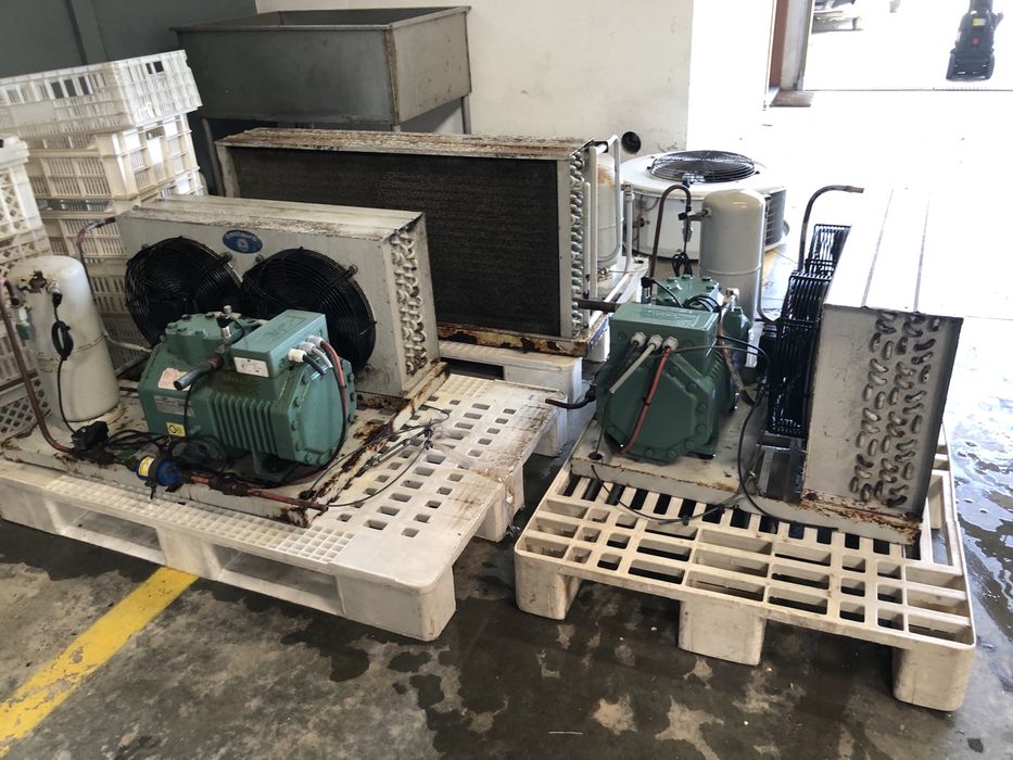 Motores para camaras de frio