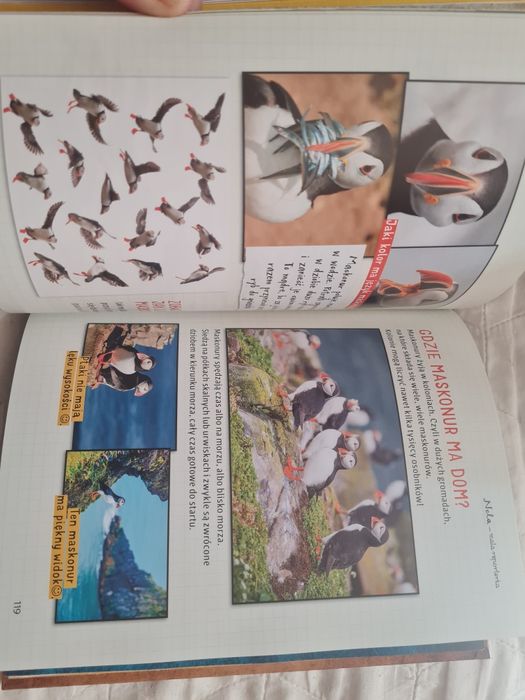 *** Nela na kole podbiegunowym KSIĄŻKA BDB