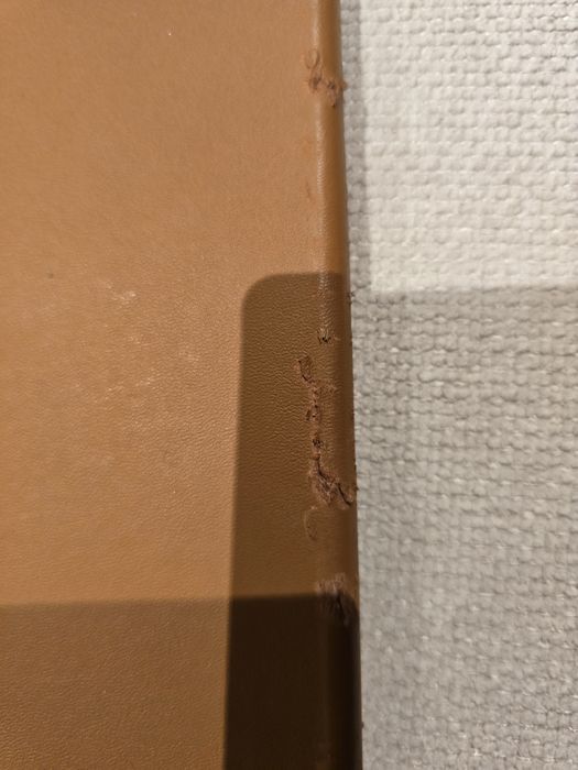 Remarkable 2 + capa pele castanha