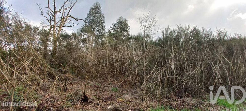 Casa rústica em Cambra e Carvalhal de Vermilhas de 3971 m2