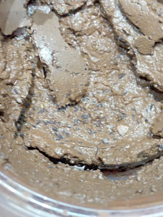 Piękne liliowe skoczogonki caratophysella plus mix spokczogonkow kolor