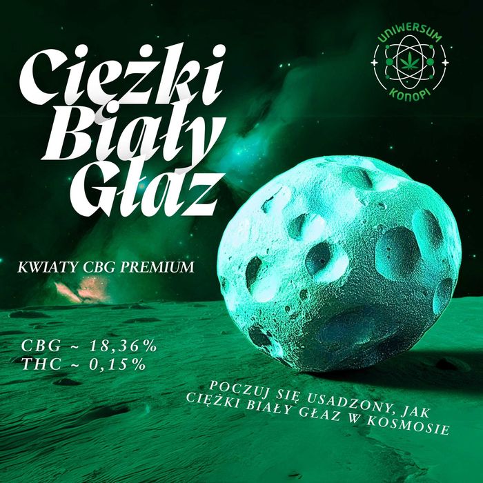 Kwiaty CBG Premium – Ciężki Biały Głaz, susz konopny CBG